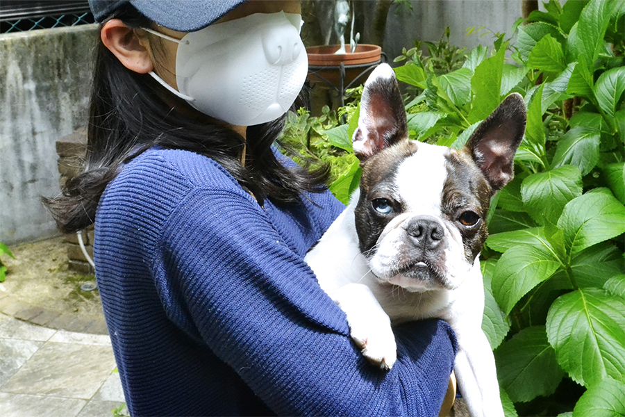 Re-THOS MASK<br />- Boston Terrier -